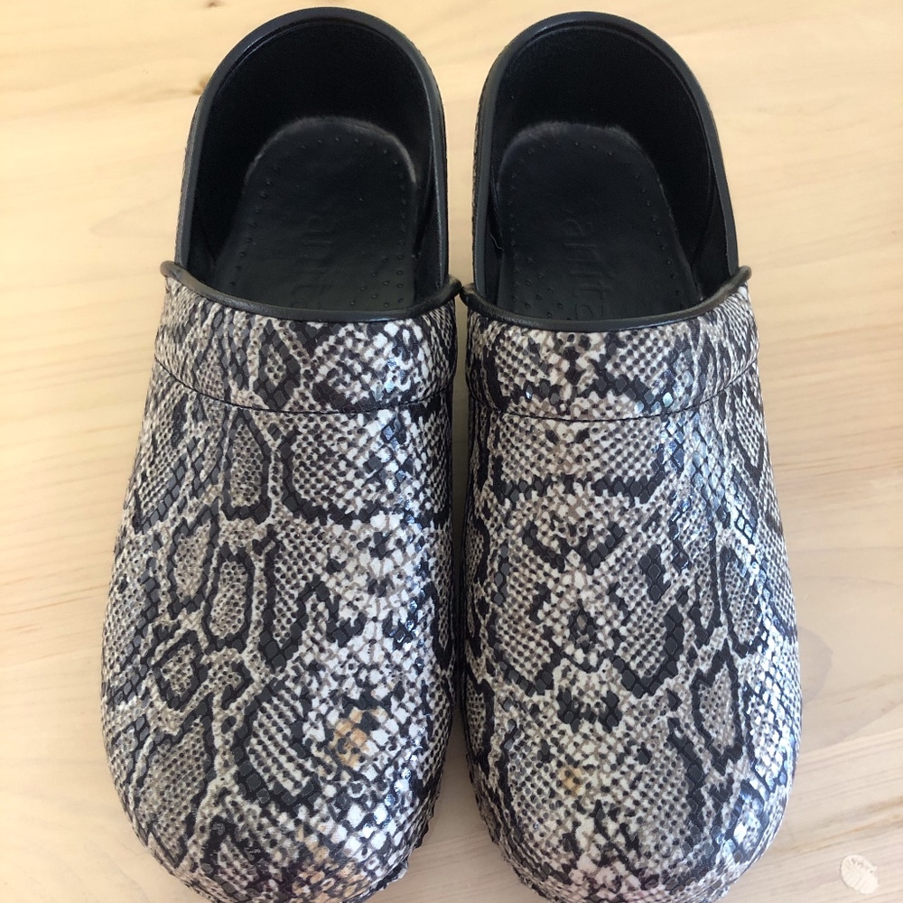 Sanita Clog